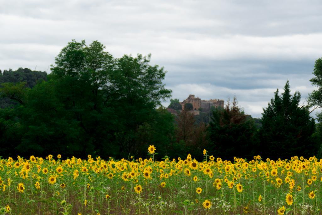 Domaine De Borie Chambres D'Hotes Bretenoux Buitenkant foto